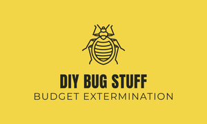 DIY BUG STUFF Products to Prevent & Monitor